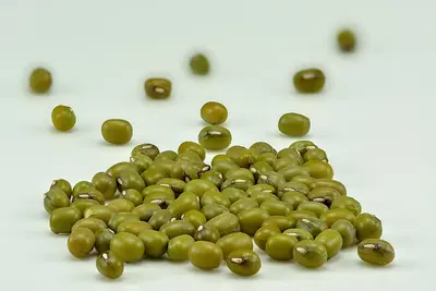A scatter of small green mung beans