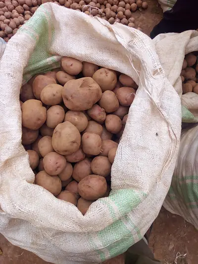 A sack of Irish potatoes at a market