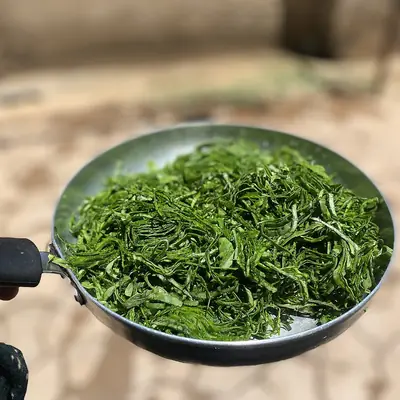 Sukuma wiki, finely chopped and cooked in a pan